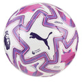 Premier League Mini Football